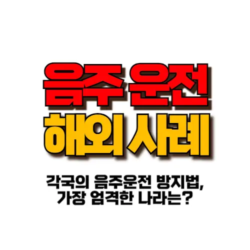 음주운전 해외 사례 썸네일