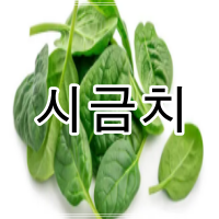 시금치