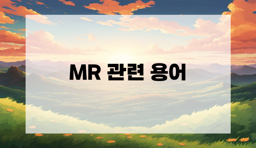 MR 관련 용어