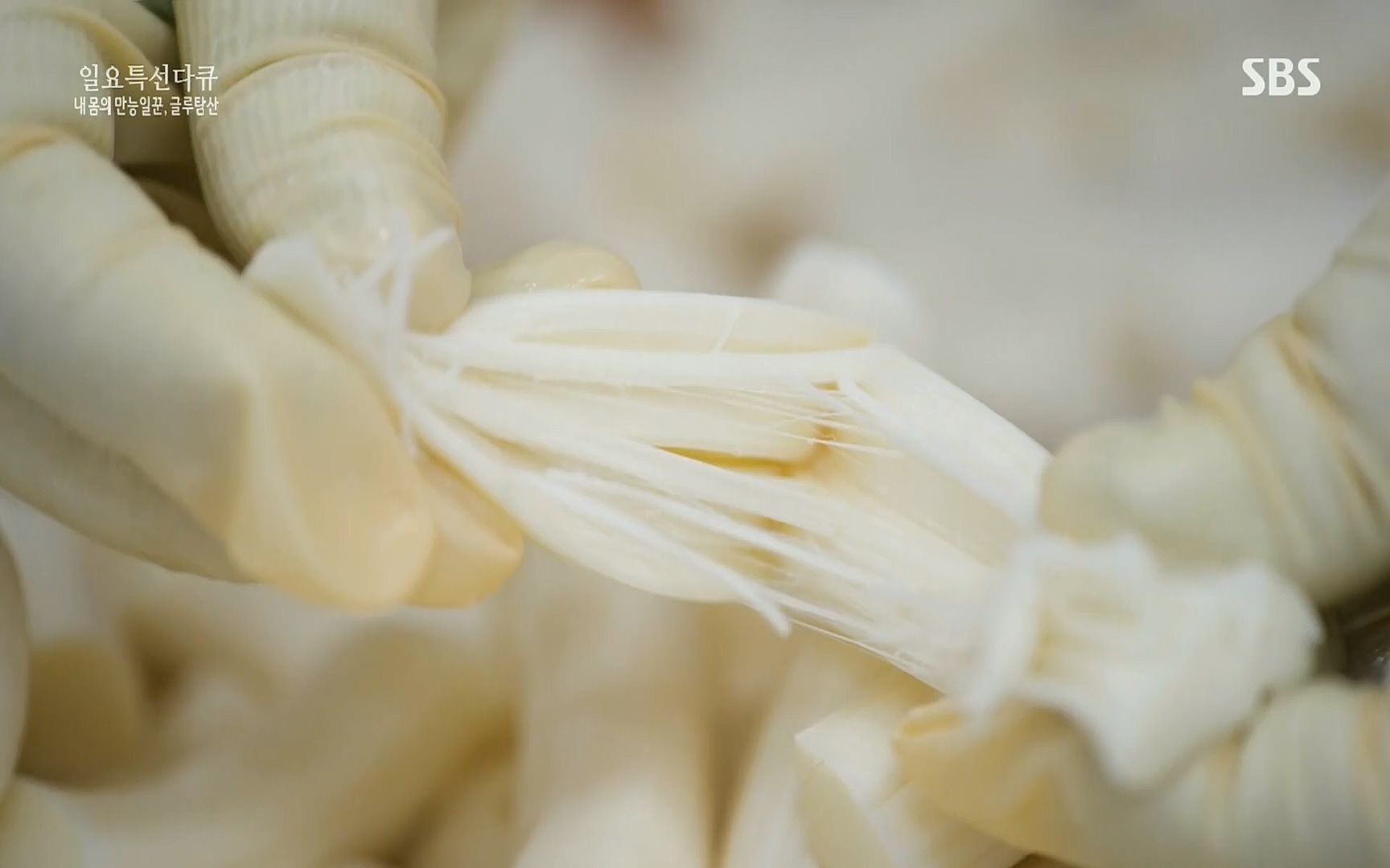 일요 특선 다큐멘터리.E283.220717p.H264-F1RST.mp4_20220718_202856.418.jpg