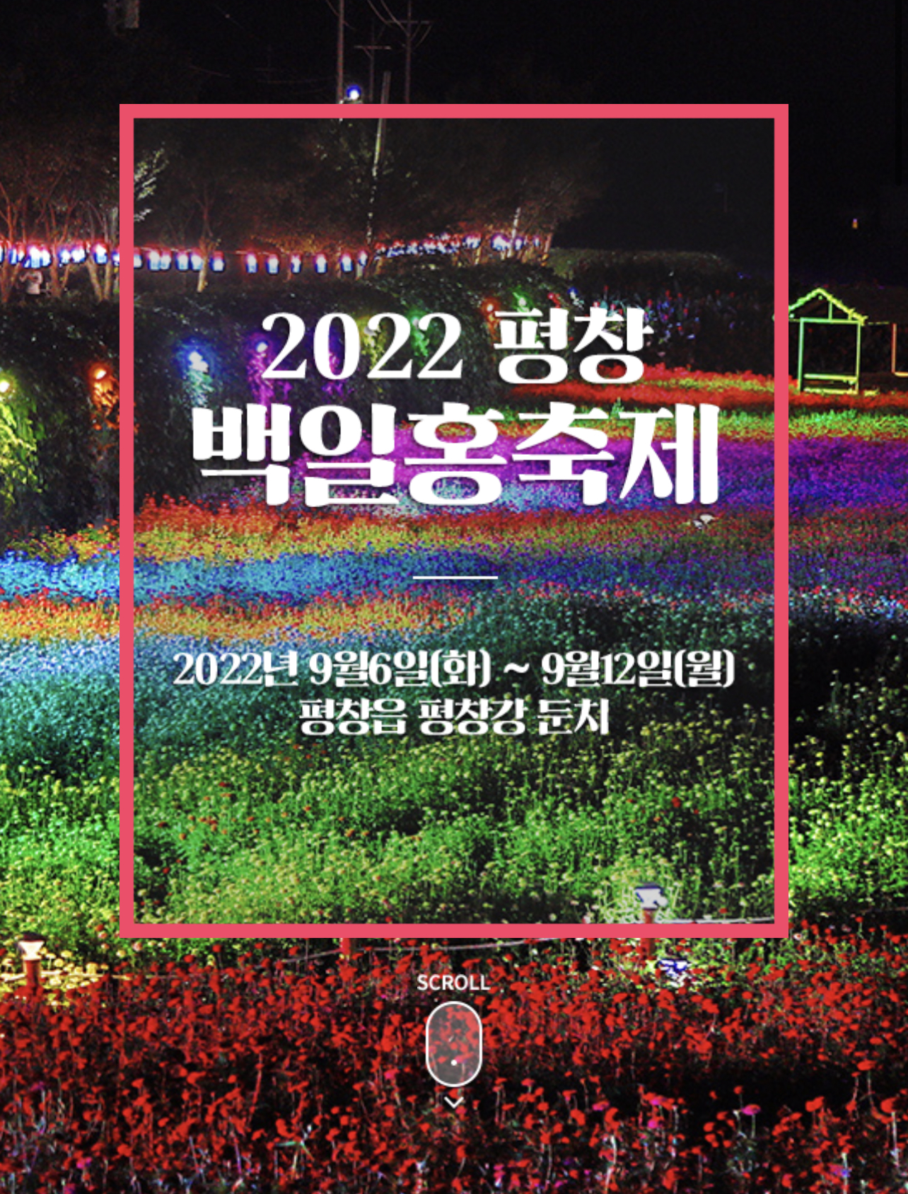  2022 평창 백일홍 축제