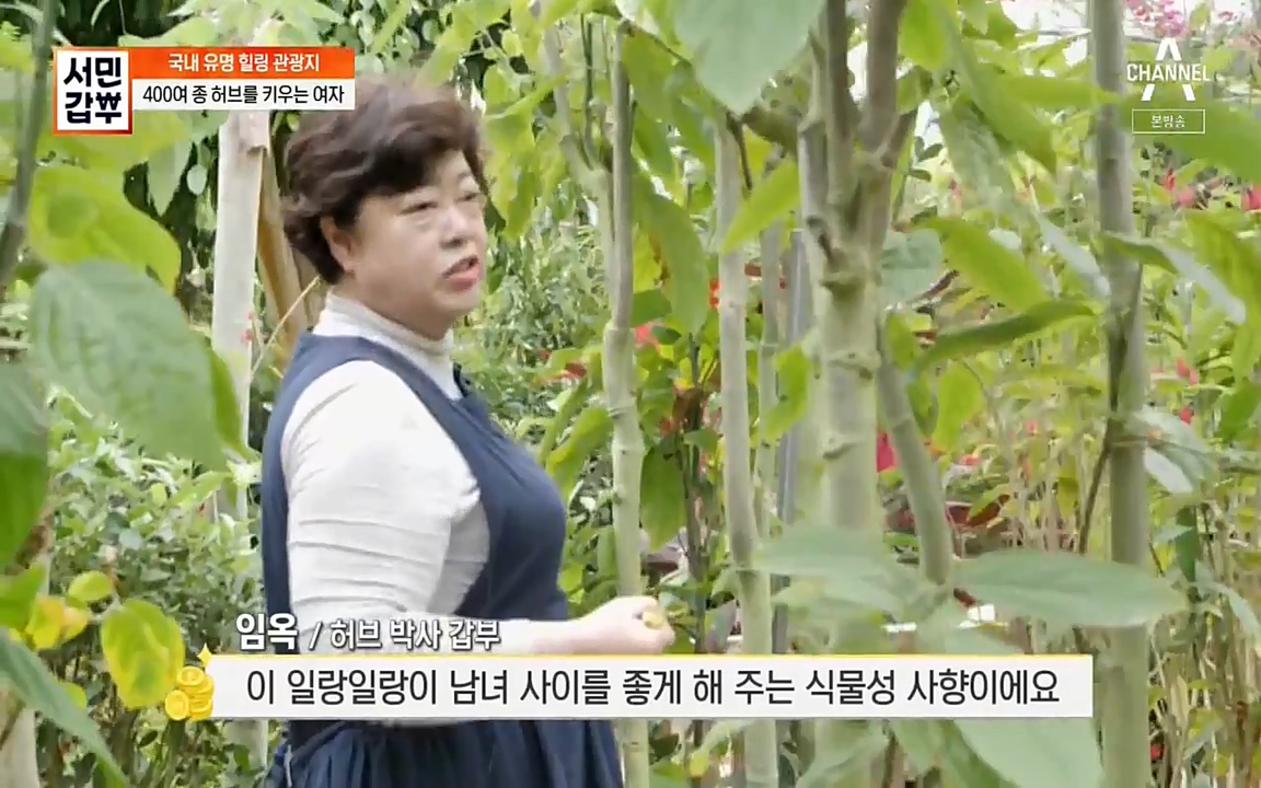 서민 갑부.E380.220424p-NEXT.mp4_20220424_182210.735.jpg