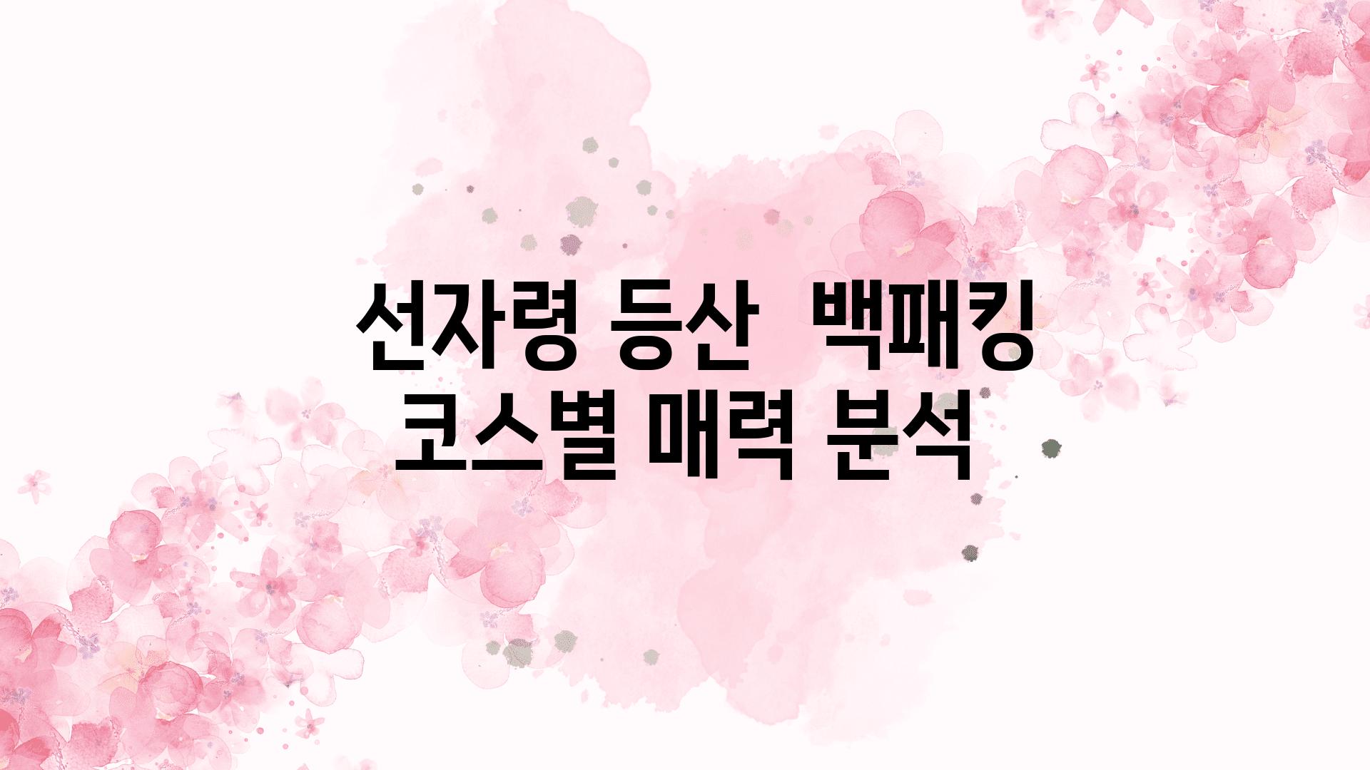  선자령 등산  백패킹 코스별 매력 분석