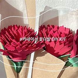 어버이날 카네이션 만들기 DIY키트 