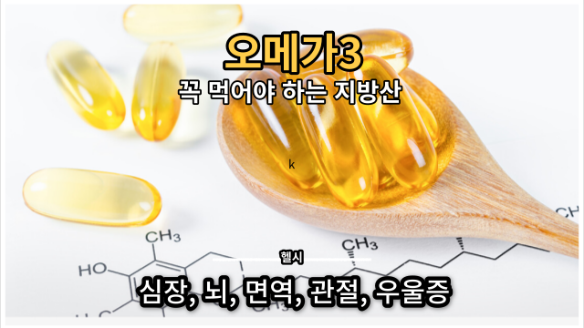  [식물성 알티 지 오메가-3] 건강 효능 및 추천 음식 & 제품