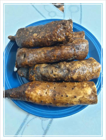 마즙 효능 부작용, 소화 잘되는 음식 6