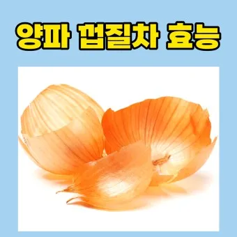 양파껍질 차 효능 영양성분_16