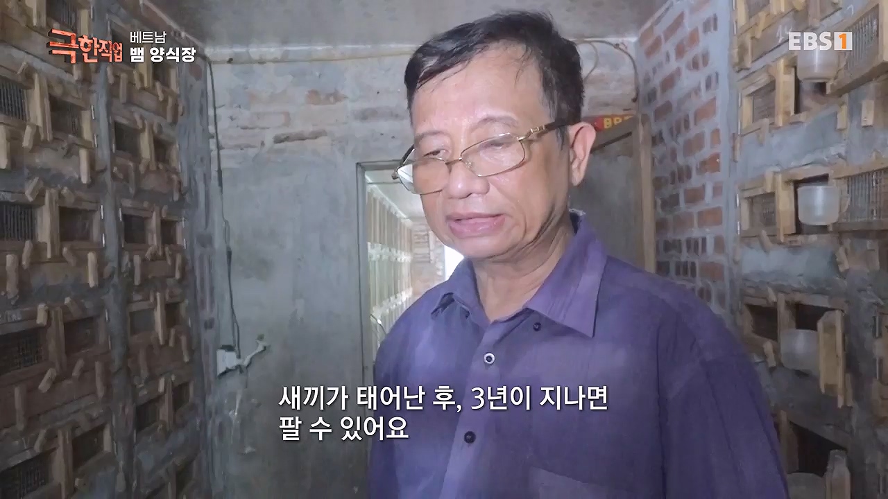 TV - 전 국민의 평생학교 EBS베트남 뱀 마을 사람들.mp4_20240615_170532.550.jpg