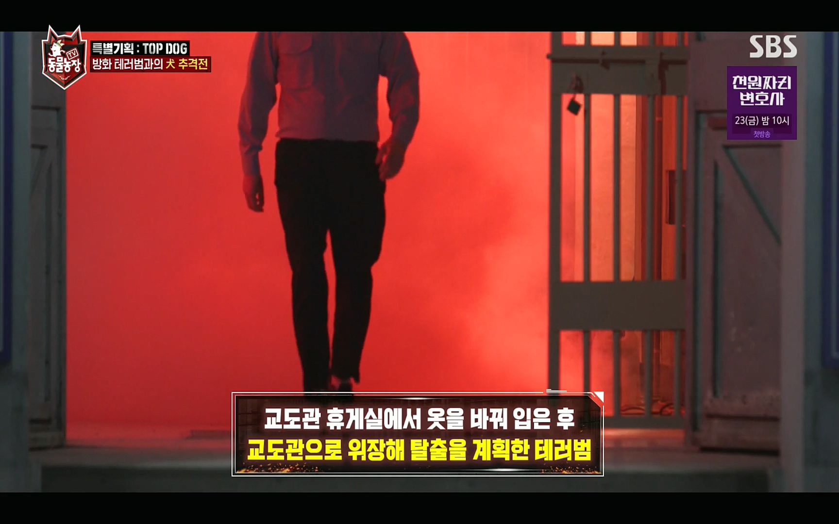 TV 동물농장.E1086.220911p.H264-F1RST.mp4_20220911_174752.395.jpg