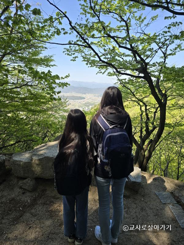 석굴암에서-불국사-가는-길