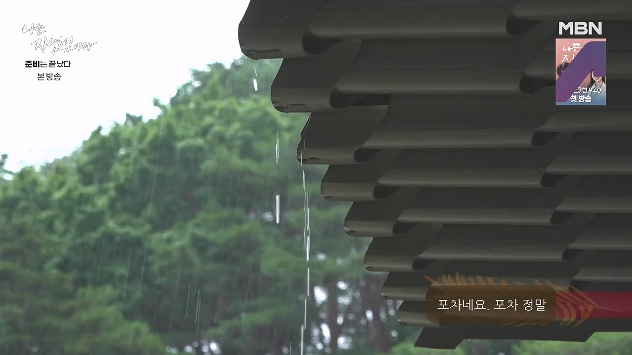 나는 자연인이다.E616.240732p-NEXT.mp4_20240801_195131.772.jpg