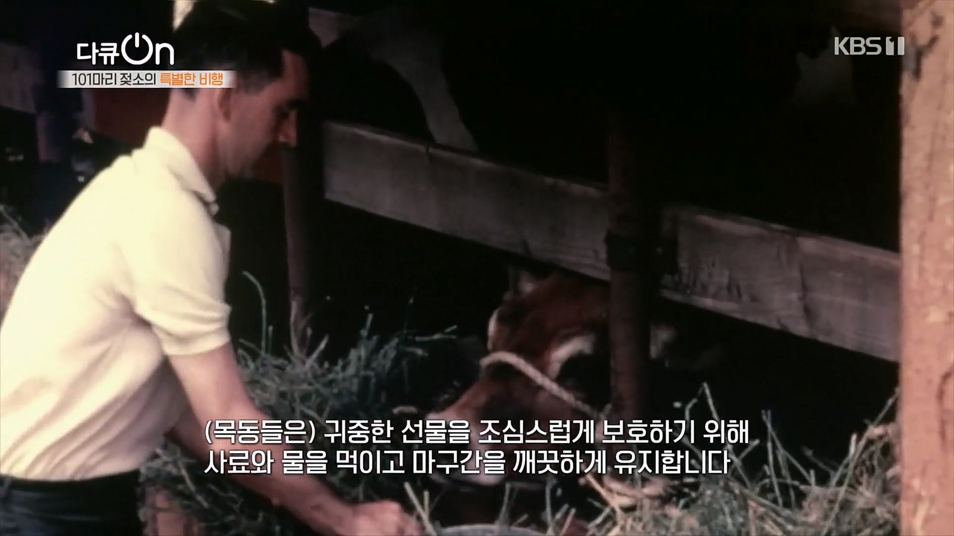 다큐 On.E184.230203p.H264-F1RST.mp4_20230211_173512.269.jpg