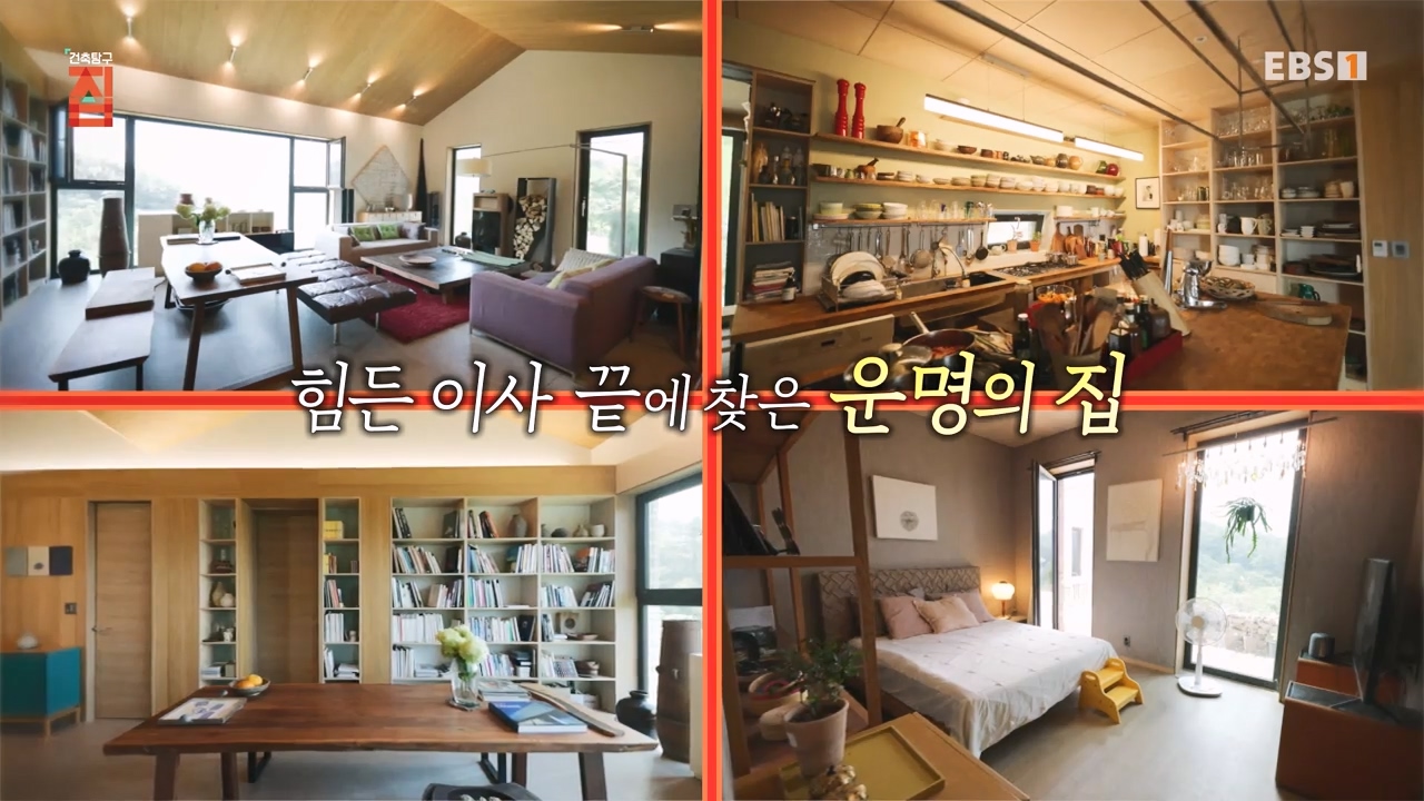 TV - 전 국민의 평생학교 EBS너는 내 운명.mp4_20231123_203415.710.jpg