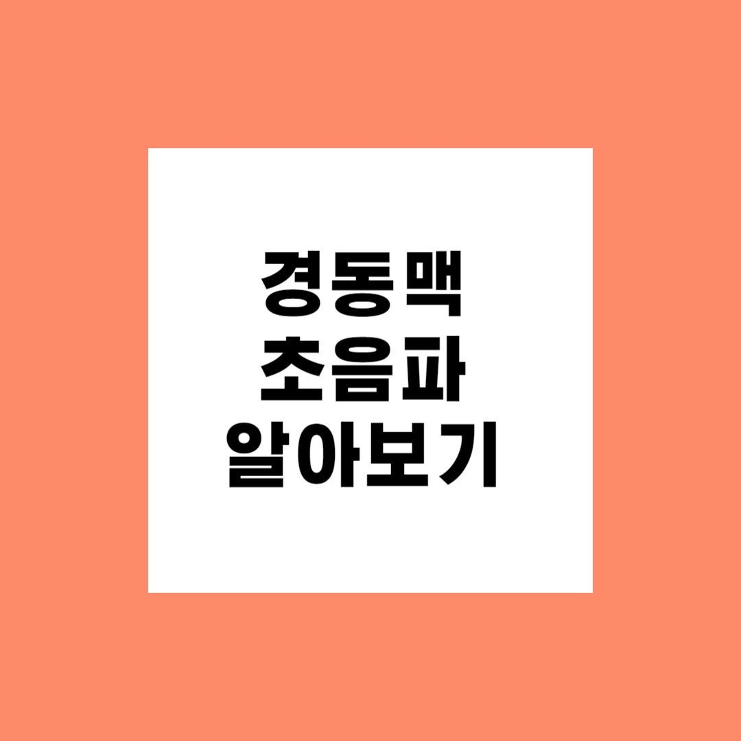 경동맥 초음파 검사로 알수있는병