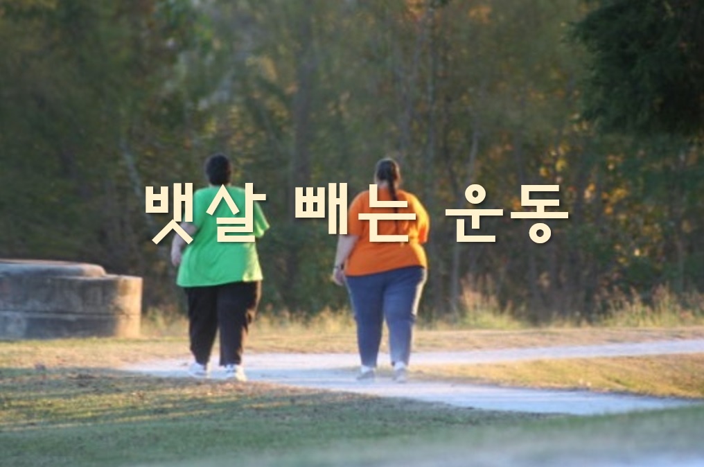  여자 남자 뱃살 빼는 운동으로 효과적인 뱃살 다이어트 방법
