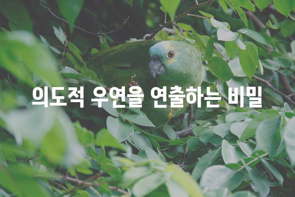 의도적 우연을 연출하는 비밀