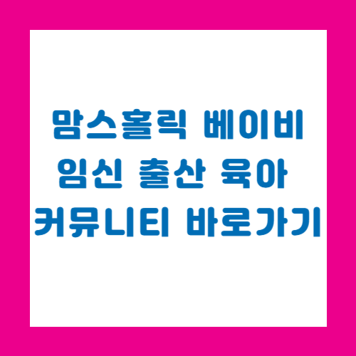 맘스홀릭 베이비/임신 출산 육아 커뮤니티 바로가기