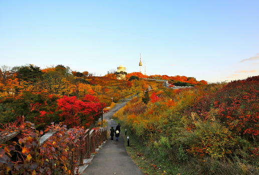 남산 이미지