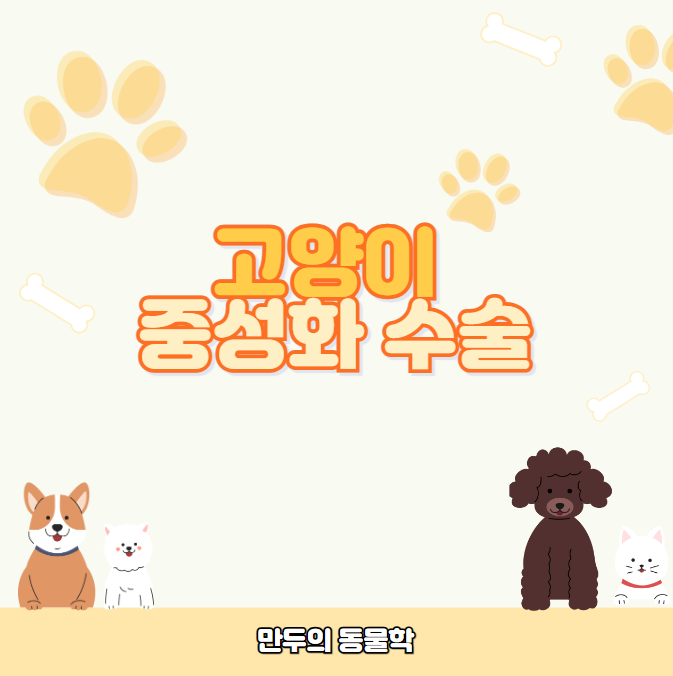 고양이중성화수술