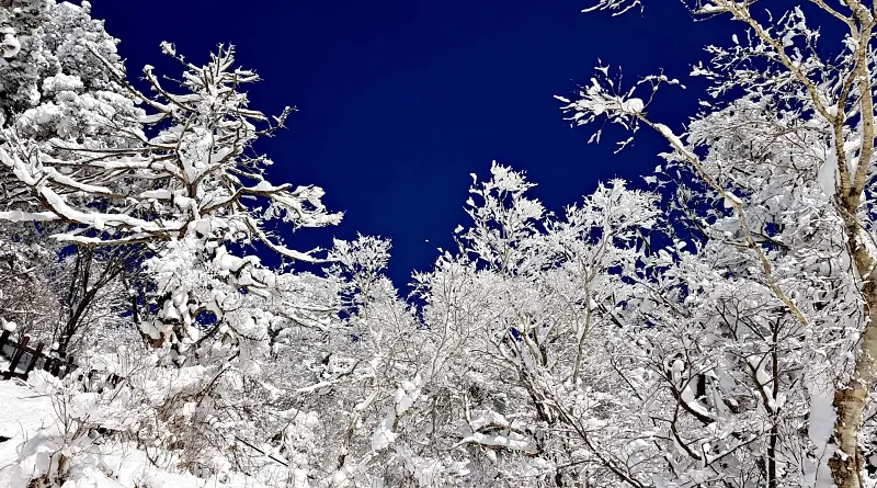 지리산 설경 상고대