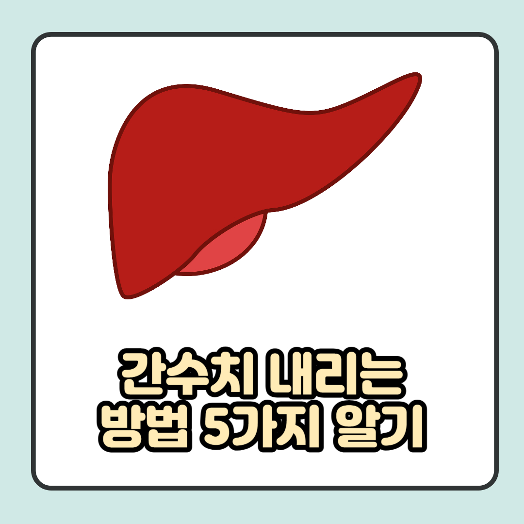 간수치 내리는 방법 5가지