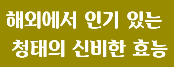 해외에서 인기 있는 청태의 신비한 효능