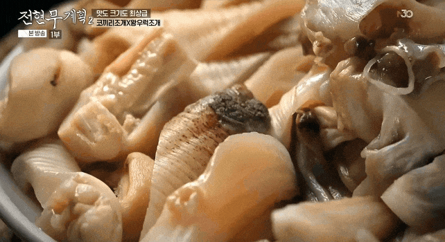 코끼리조개와-왕우럭조개-한-상