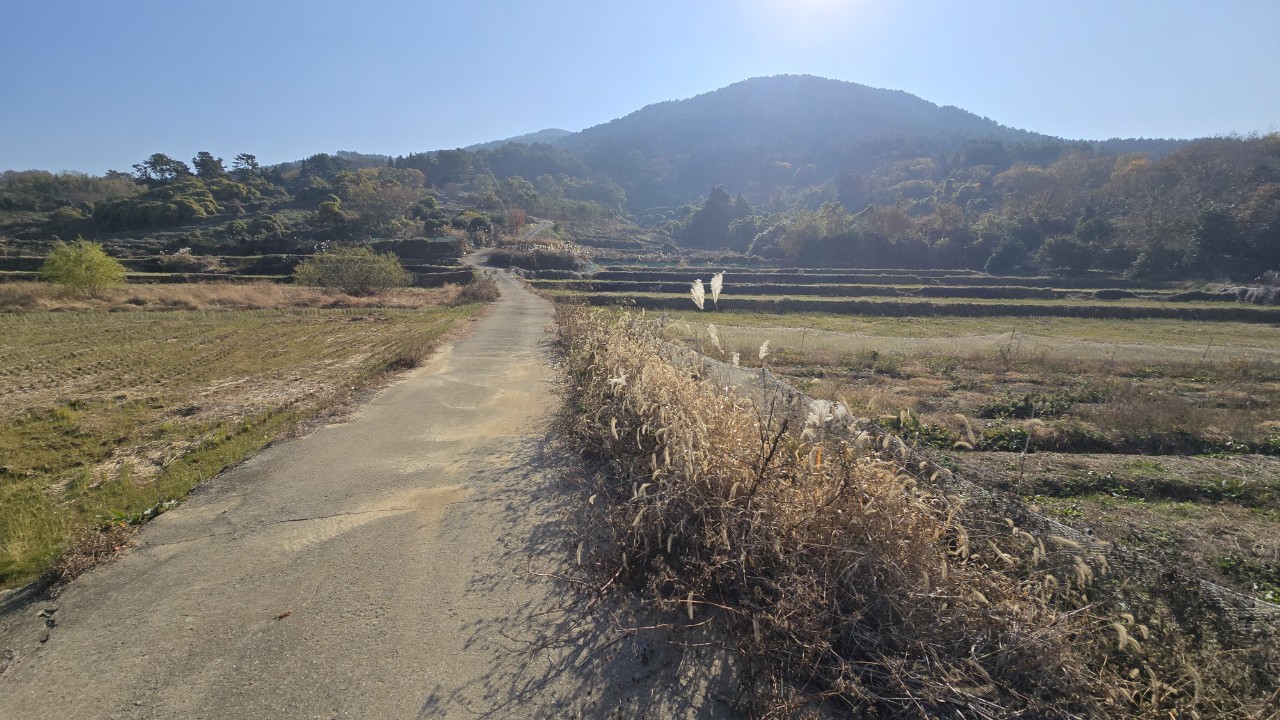 대망주유소 이미지