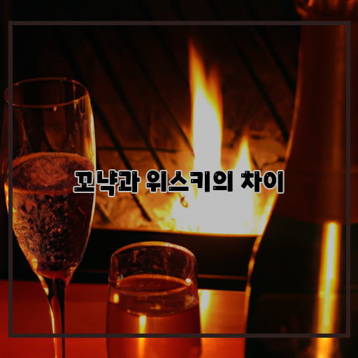  꼬냑과 위스키, 각자의 특징과 매력 비교!