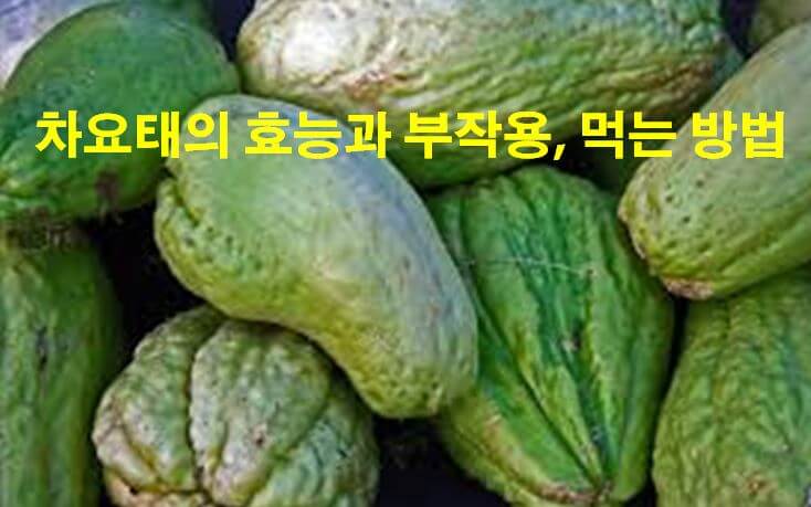  차요태 효능 먹는 방법