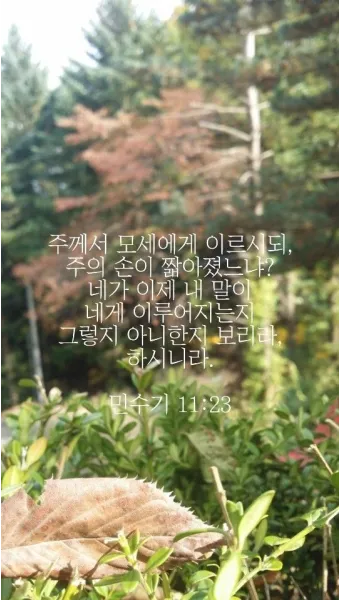 이스라엘 백성 불만 민수기 11장_12