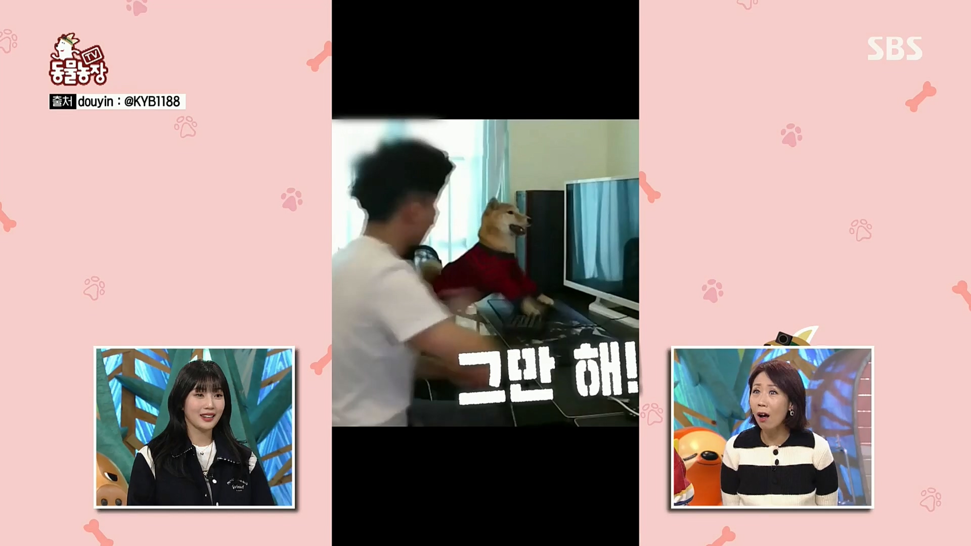 TV 동물농장.E1092.221023p.H264-F1RST.mp4_20221023_182727.462.jpg