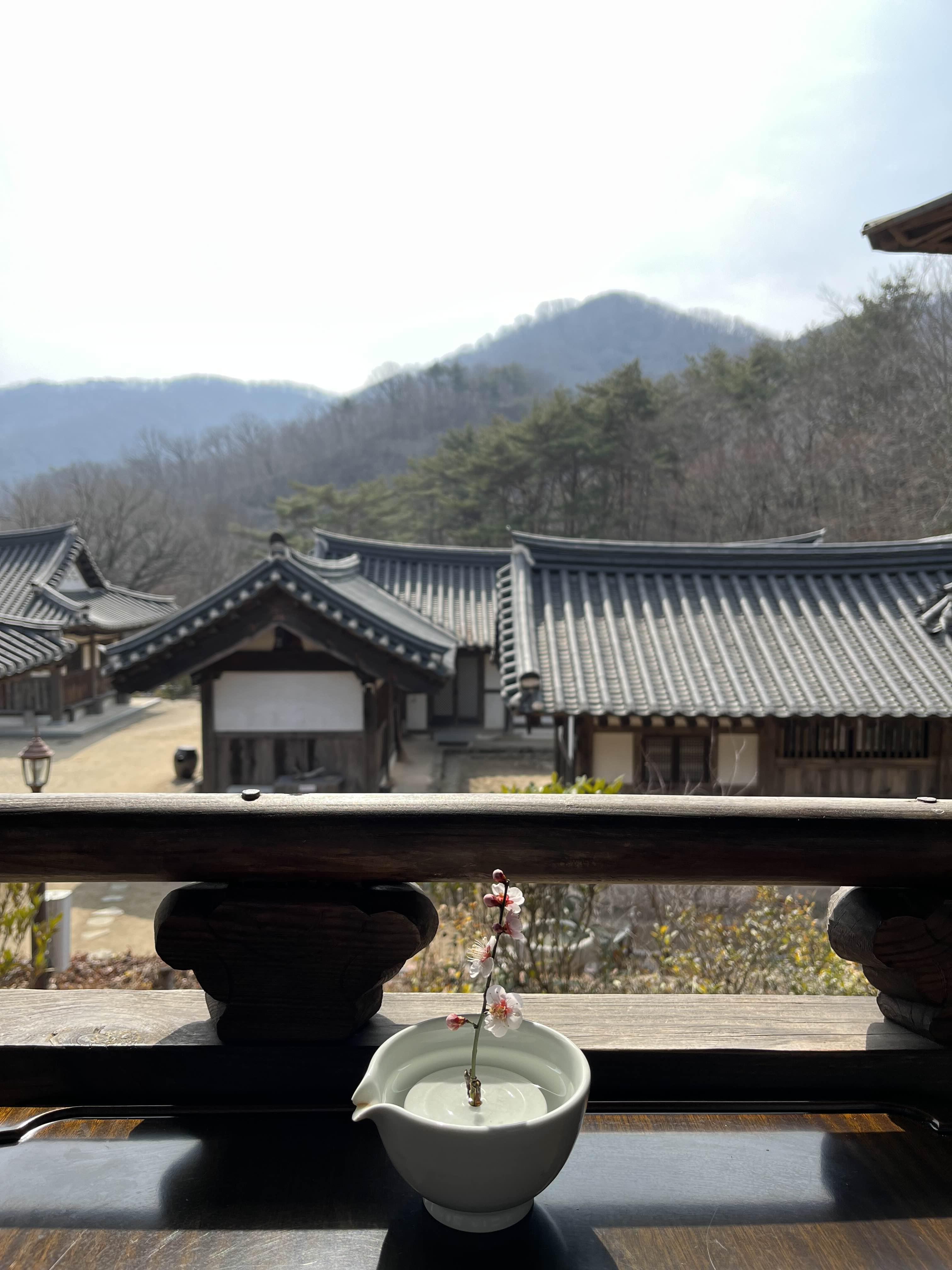순천전통야생차체험관 전경