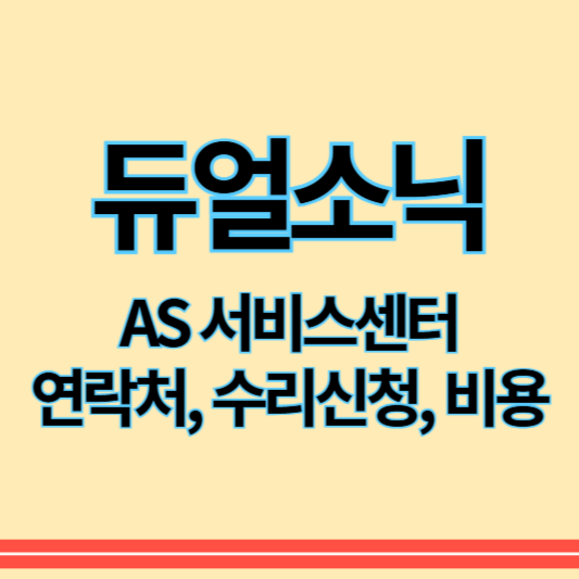 듀얼소닉_as_썸네일