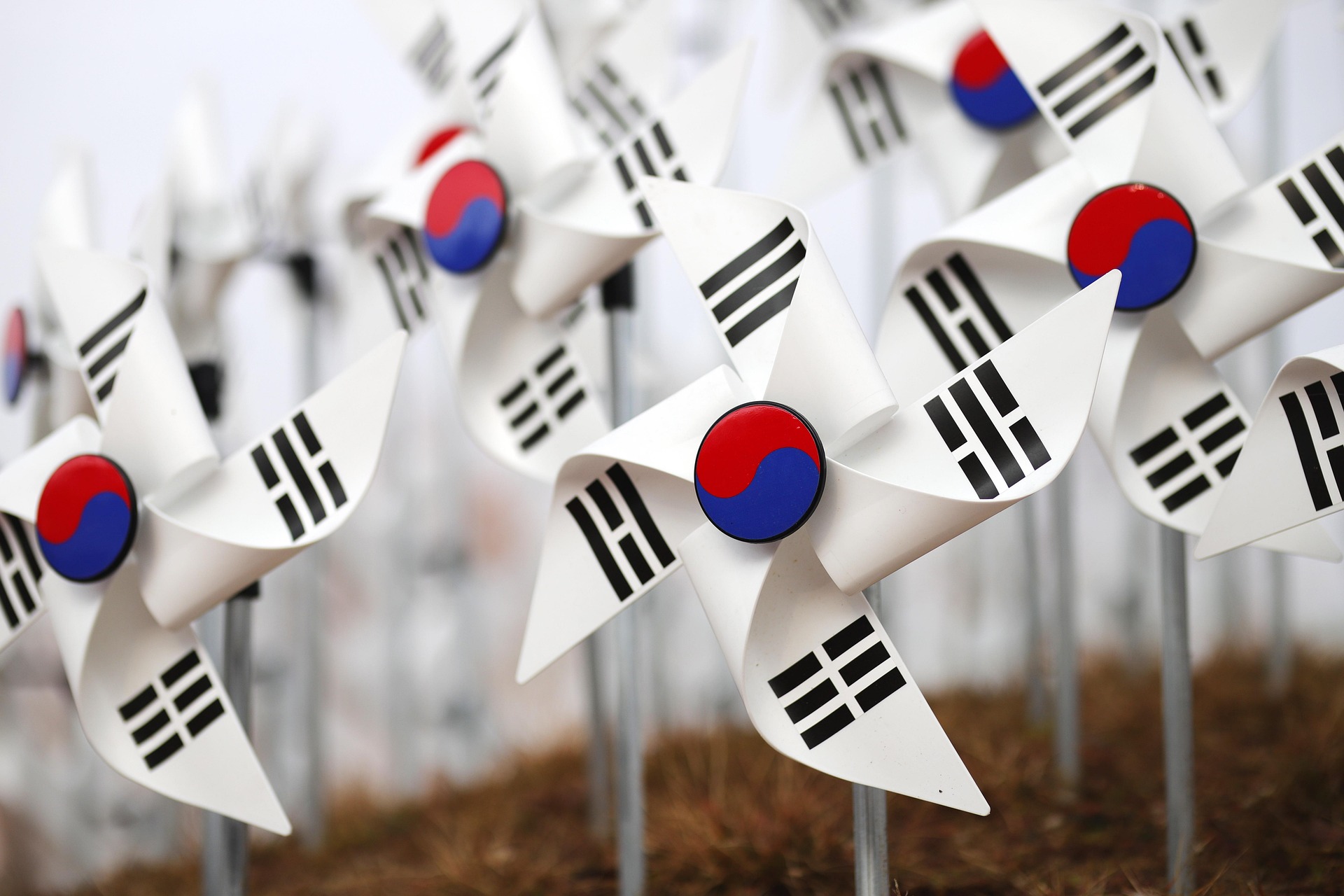 대한민국