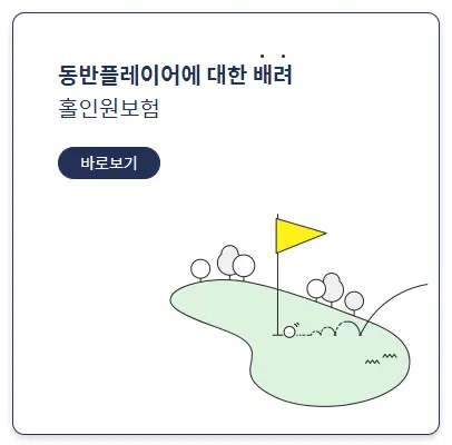 보험 비교