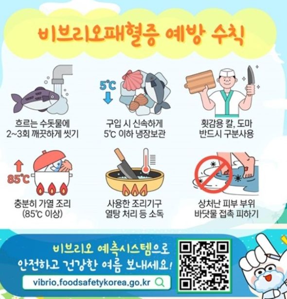 비브리오패혈증 예방수칙을 알려주는 포스터