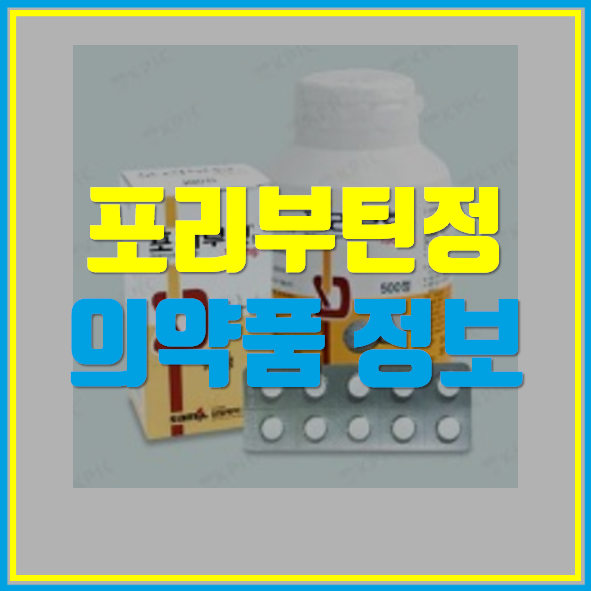  포리부틴정 효능 부작용 정보