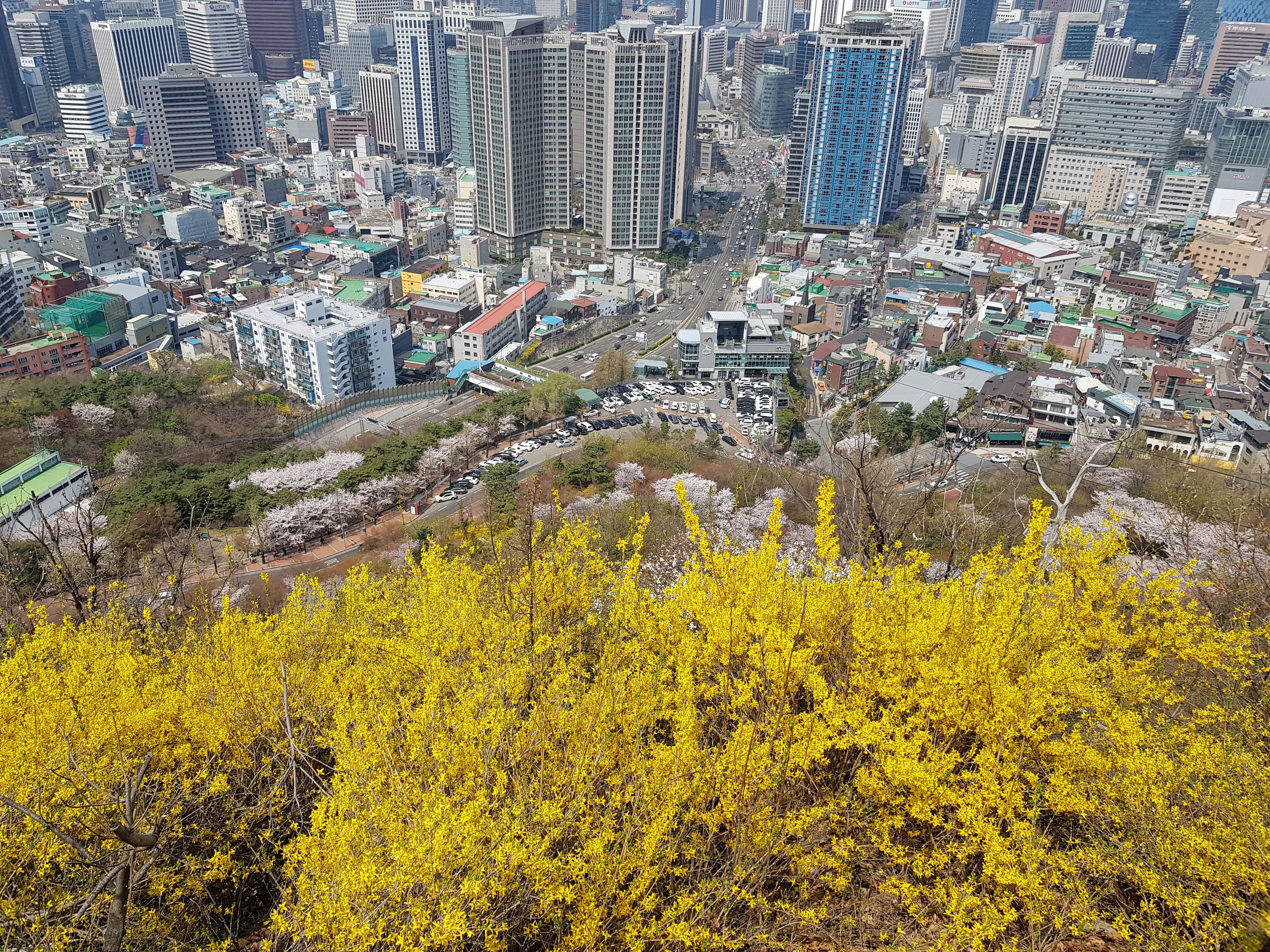 남산타워에서 내려다보는 서울의 전경