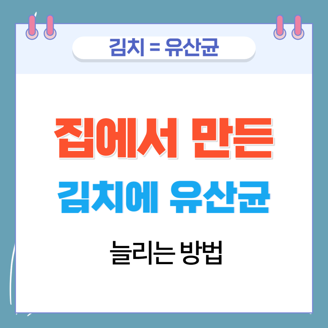  집에서 만든 김치에 유산균을 늘리는 방법