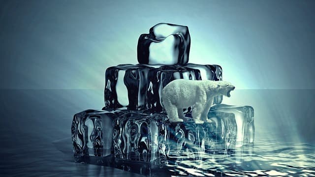 기후위기와 해양: 해수면 상승과 산호초의 위기