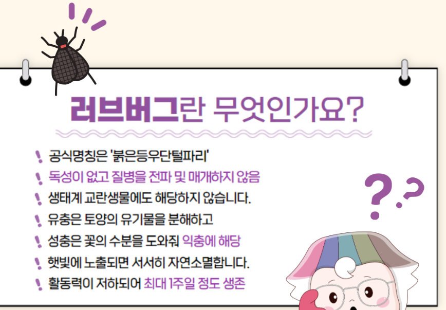 러브버그 박멸
