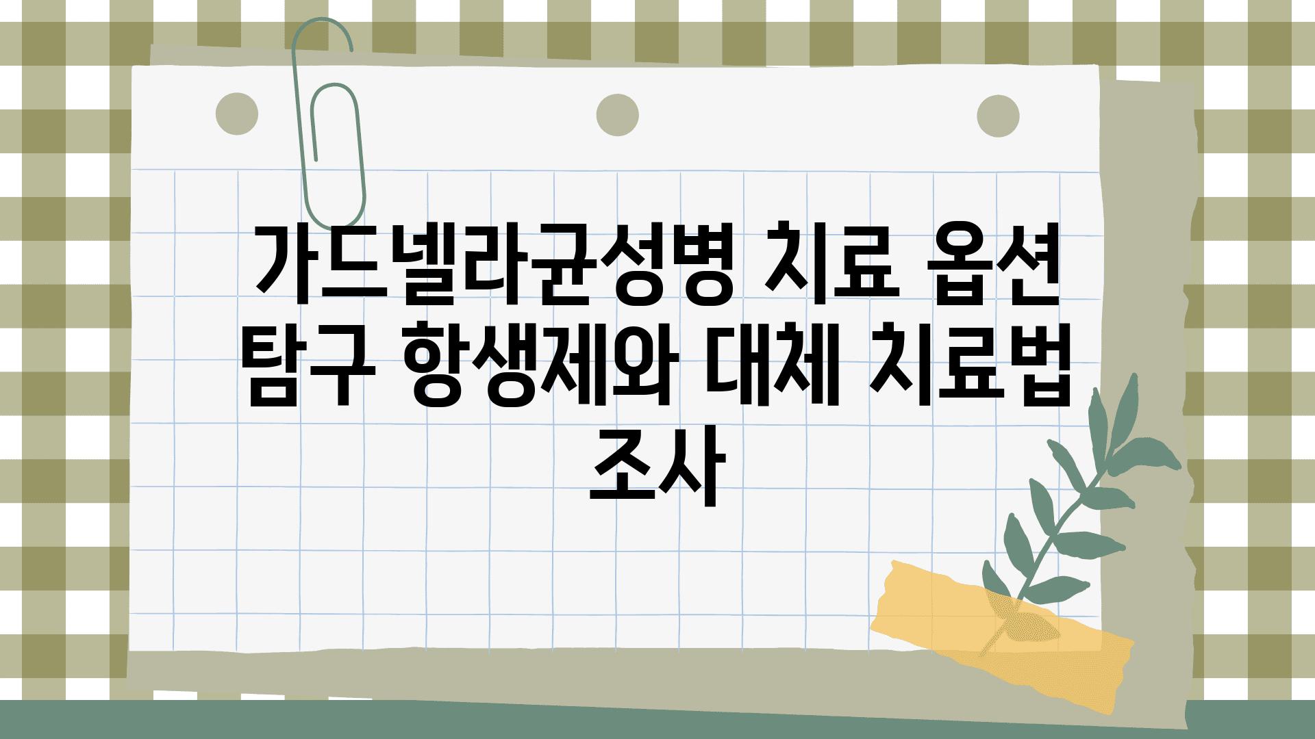 가드넬라균성병 치료 옵션 비교 항생제와 대체 치료법 조사