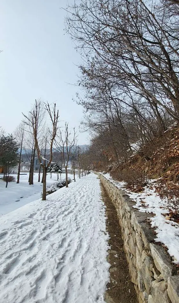 박수근미술관