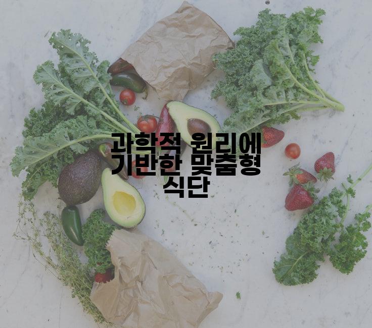 과학적 원리에 기반한 맞춤형 식단