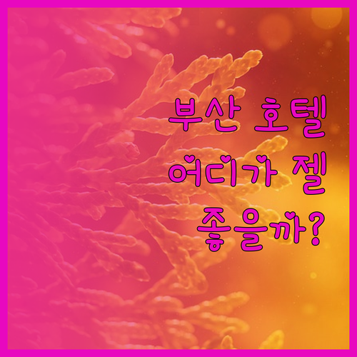 내돈내산 부산 호텔 리뷰! 파크 하얏
