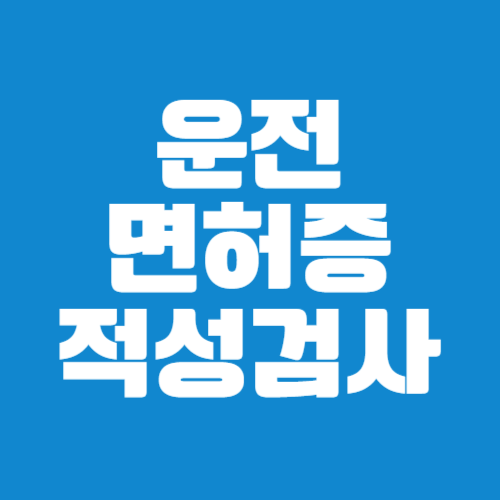 운전면허 적성검사