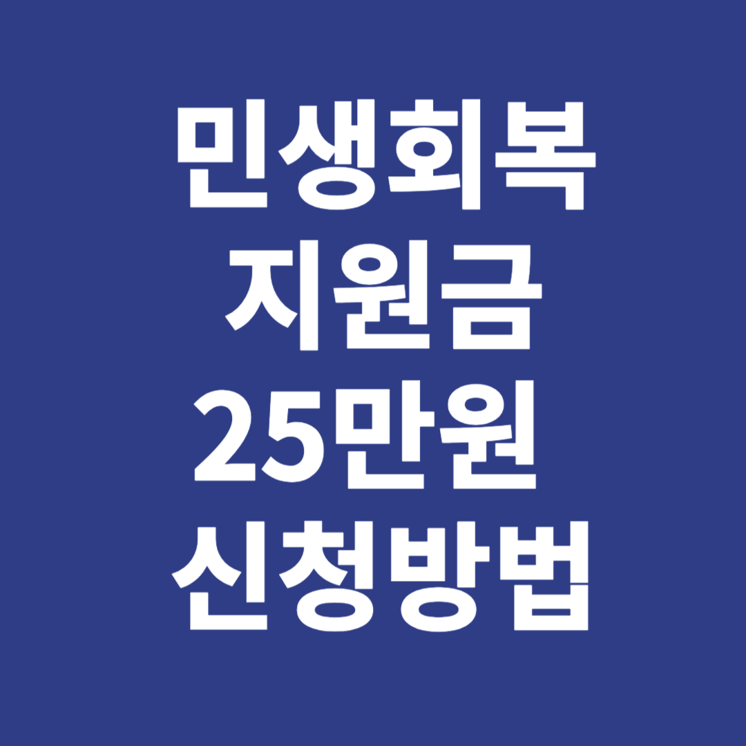 민생회복지원금 25만원