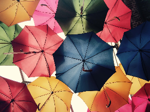 위험으로 부터 우산이 되어주는 보험