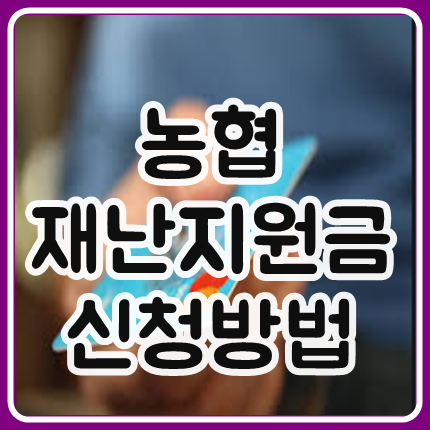  농협 재난지원금 신청